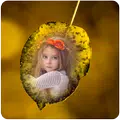 Leaf Photo Frames