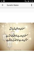 Sunehri Baten  (Urdu Sayings) 截图 2