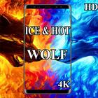Icona ice wolf HD wallpaper 4k