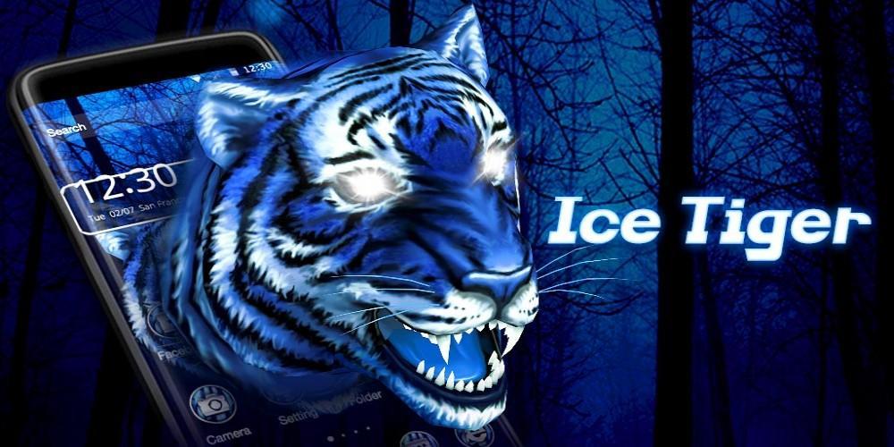 Айс тайгер. Айс тигр. Ice тигр Владивосток. Логотип Ice Tigers. Ice тигр Владивосток манеж.