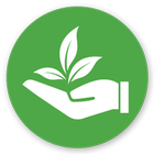 E-Tree icon