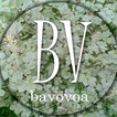 BAVOVOA