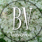 BAVOVOA icône