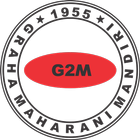 G2M Reload icon