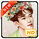 Chen EXO Wallpaper HD KPOP APK