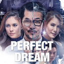 PERFECT DREAM APK