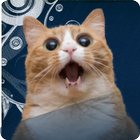 Cats Game icon