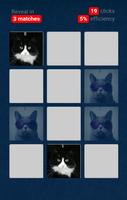 Cats Game 截图 2