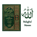 Kitab Bulughul Maram Indonesia APK