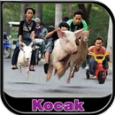 Gambar DP Kocak APK