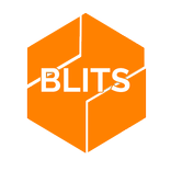 Semut Bandar Lampung