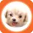포켓 메이플스토리 공략커뮤니티 APK