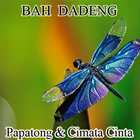 Lagu Papatong 圖標