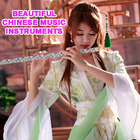 Beautiful Chinese Music Instrument icône