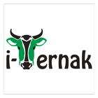 i-Ternak icône