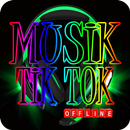 Musik Tik Tok Indonesia Offline APK