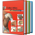 Color Atlas Of Anatomy