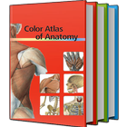 Color Atlas Of Anatomy icône