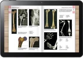 Color Atlas Of Anatomy capture d'écran 3