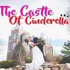 The Castle Of Cinderella icône