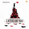 Free Novel - Crush on You APK