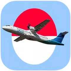Pesawat Maskapai Indonesia APK download