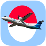 ikon Pesawat Maskapai Indonesia