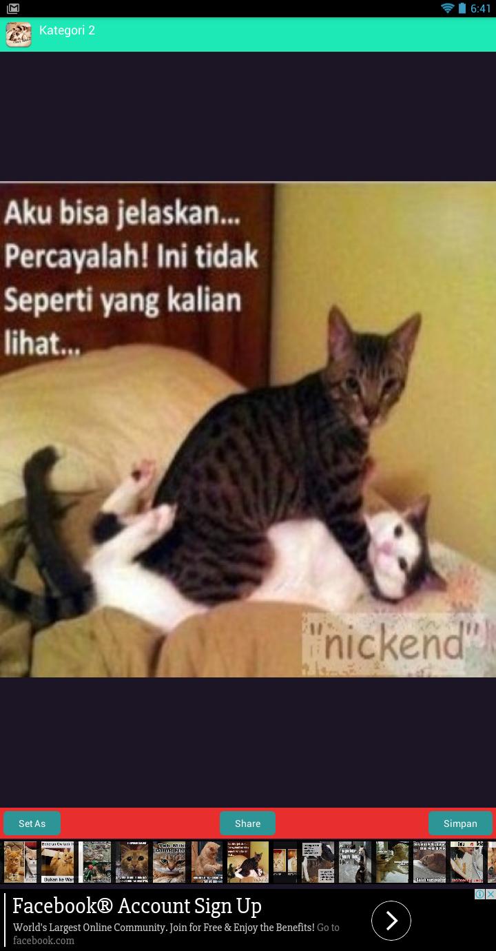 Dp Lucu Kucing Yang Gemes For Android Apk Download