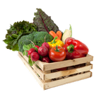 New Healthy Recipes icon