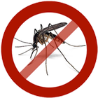 Info Chikungunya icône