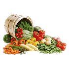 Dinner healthy recipes icon