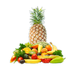 Healthy online recipes icon