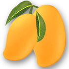 Recipes Mango ikona