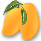 Recipes Mango icon