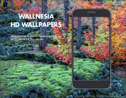 Fall Seasons HD Wallpapers Affiche