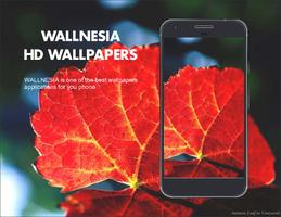 Fall Seasons HD Wallpapers ภาพหน้าจอ 1