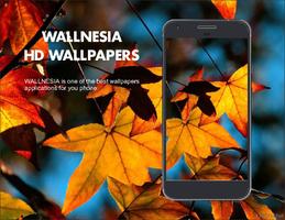 Fall Seasons HD Wallpapers स्क्रीनशॉट 3