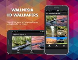 برنامه‌نما Forests HD Wallpapers عکس از صفحه