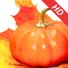 Best Thanksgiving HD Wallpapers icône