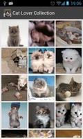 Cat Lovers Collection Affiche