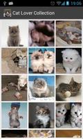 Cat Lovers Collection 포스터