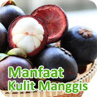 آیکون‌ Manfaat Kulit Manggis