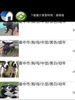 認養寵物(台灣動物-狗、貓、鳥等) screenshot 1