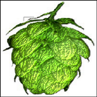 Hops-Boss icon