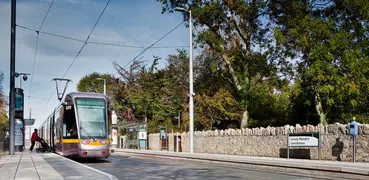 LUAS