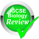 IGCSE Biology Review