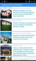 Waterford Tourist Guide imagem de tela 1