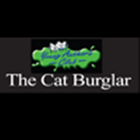 Bedtime Story- The Cat Burgler icône