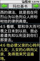 中文圣经 Chinese Bible Plakat