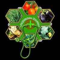 Vegetable Doctor پوسٹر